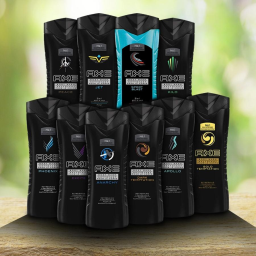 10-Pack: Axe Shower Gel/Body Wash 8.45 oz - Assorted Scents