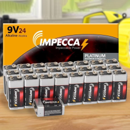 24-Pack: Alkaline 9-Volt 6LR61 Platinum Batteries