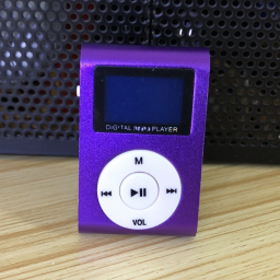 Clip-On Mini MP3 & FM Music Player / Purple