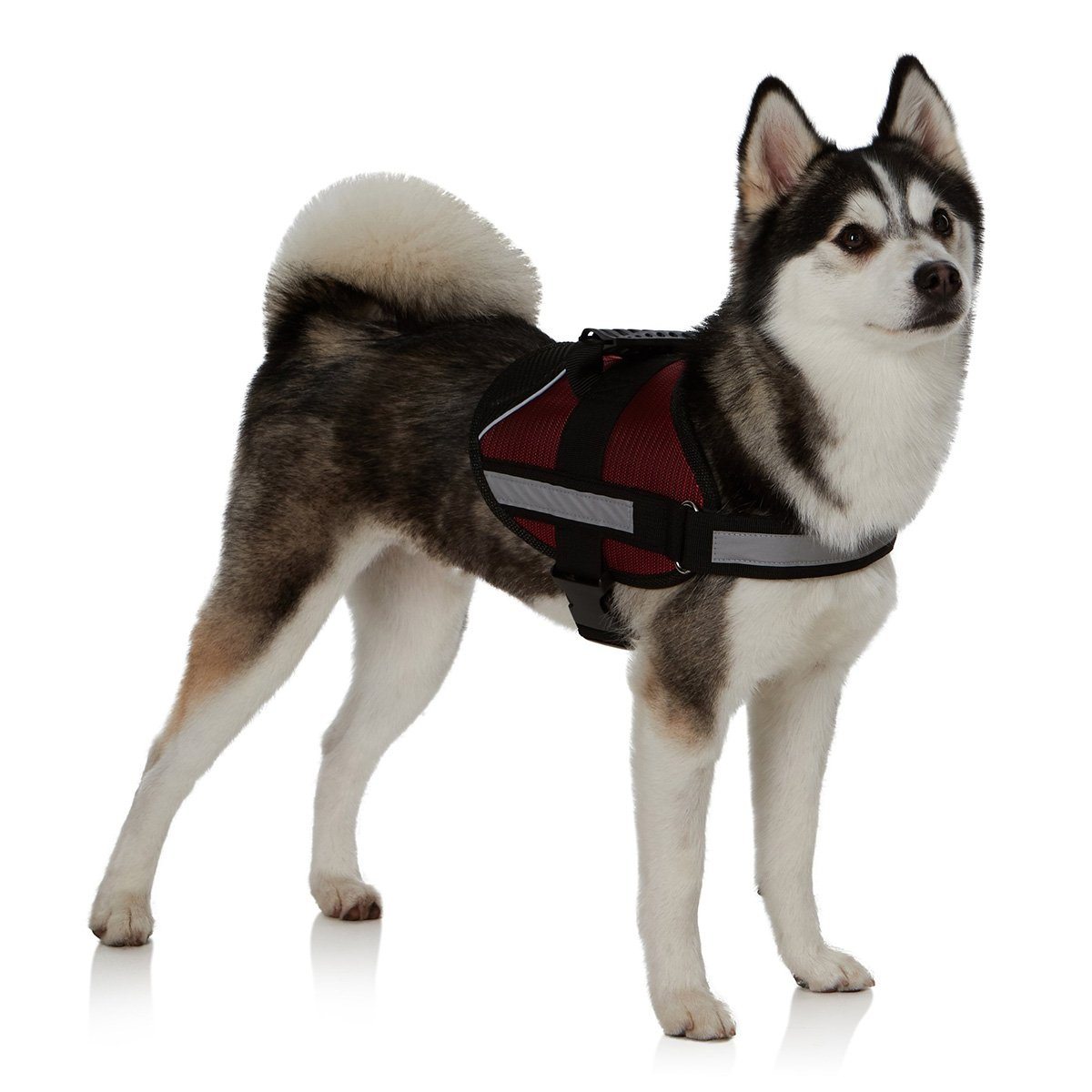 Ez-Pet Vest Collar Soft Adjustable Harness / Red / Large