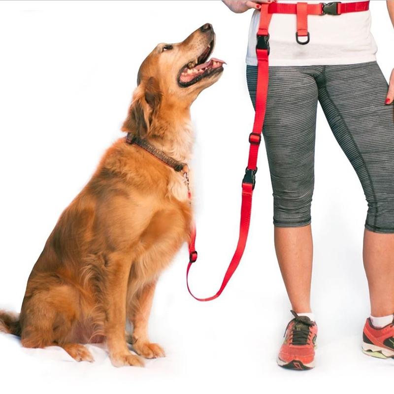 The Buddy System Adjustable Hands Free Dog Leash / Red