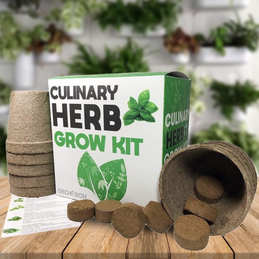 Easily Grow 10 Culinary Herb Garden Kit