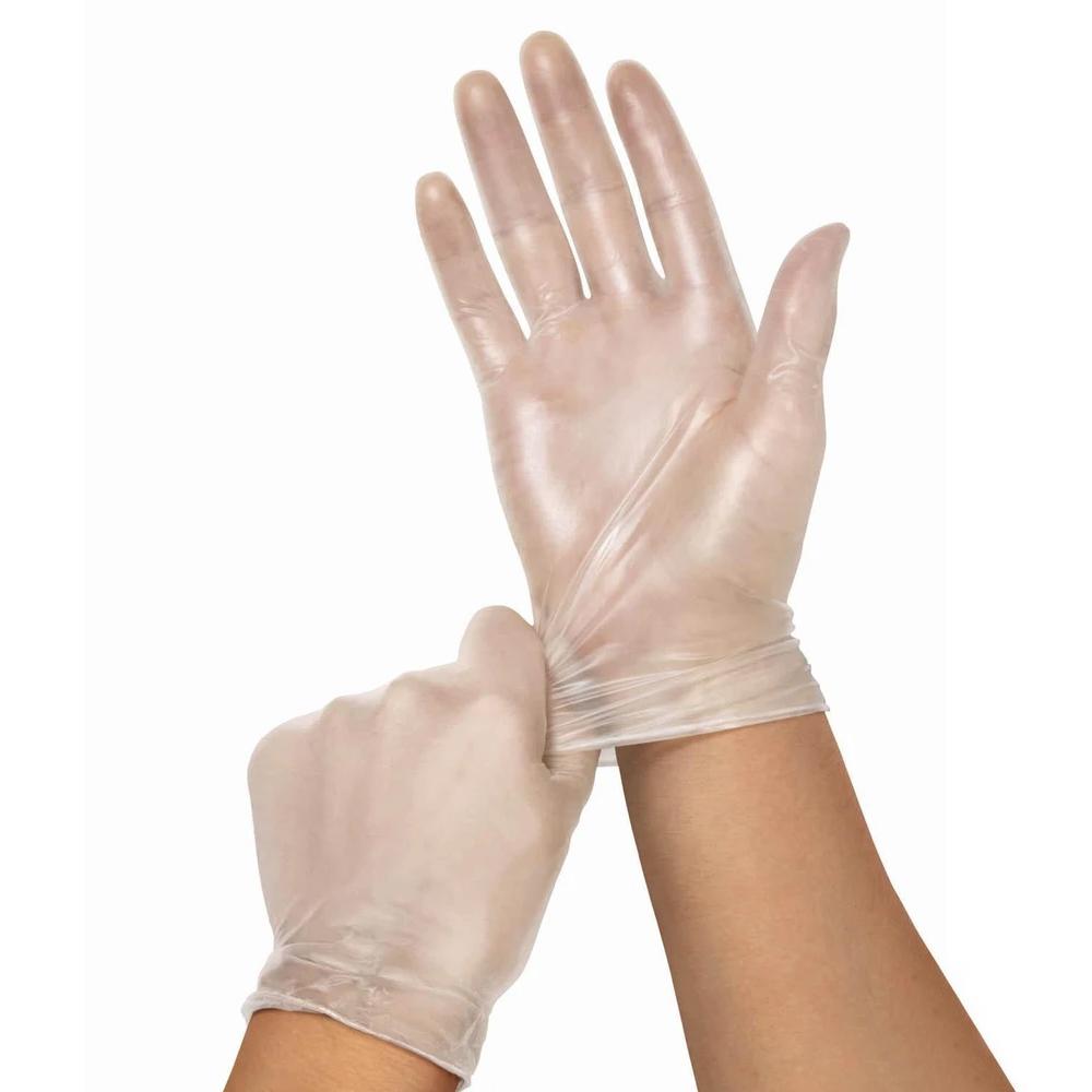 Disposable Vinyl Gloves Powder free / Medium