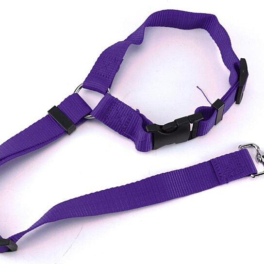 Adjustable Pet Harness Seat Belt / Purple