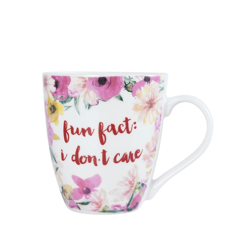 Sentiment Mugs Fun Fact I Dont Care Mug