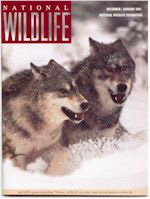 National Wildlife Magazine