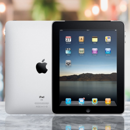 Apple iPad 1st Generation Wifi - Assorted Sizes / 16GB